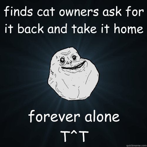 finds cat owners ask for it back and take it home forever alone
T^T  Forever Alone