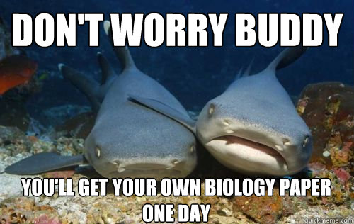don't worry buddy you'll get your own biology paper one day  Compassionate Shark Friend