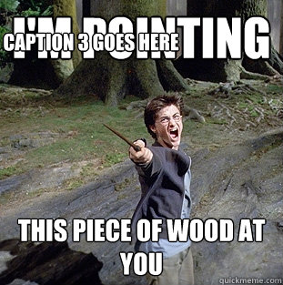 I'M POINTING  THIS PIECE OF WOOD AT YOU Caption 3 goes here  Pissed off Harry