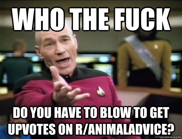 Who the fuck do you have to blow to get upvotes on r/animaladvice?  Annoyed Picard HD