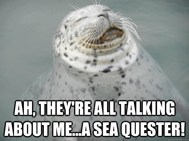 Ah, they're all talking about me...a sea quester!  Zen Seal
