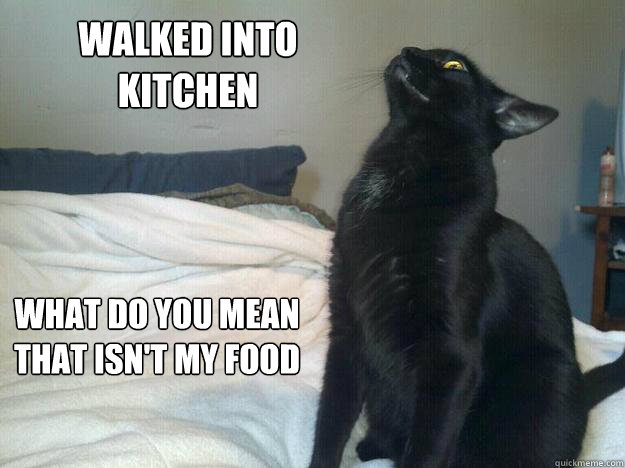 walked into
kitchen WHAT DO YOU MEAN 
THAT ISN'T MY FOOD  EPIC CAT FACE