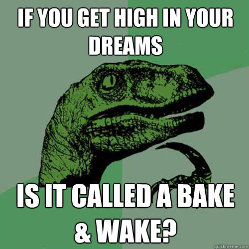 If you get high in your dreams Is it called a Bake & wake?  Philosoraptor