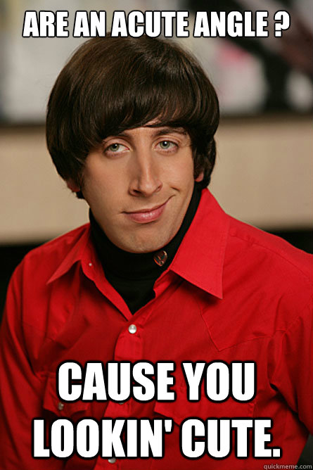 are an acute angle ? Cause you lookin' cute.  Pickup Line Scientist