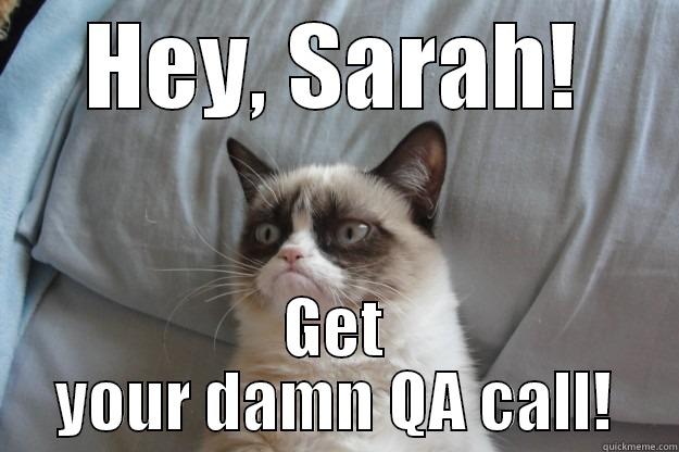Grumpy Cat work  - HEY, SARAH! GET YOUR DAMN QA CALL! Grumpy Cat