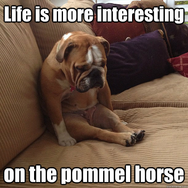 Life is more interesting on the pommel horse  depressed dog