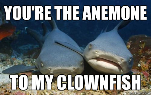 You're The Anemone To My clownfish  Compassionate Shark Friend