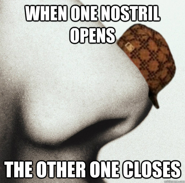 When one nostril opens The other one closes  - When one nostril opens The other one closes   Misc