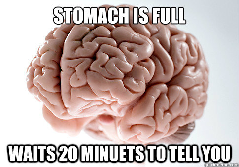 Stomach is full Waits 20 minuets to tell you   Scumbag Brain
