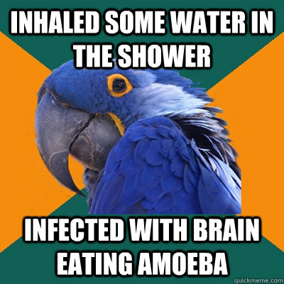 Inhaled some water in the shower Infected with brain eating amoeba  Paranoid Parrot