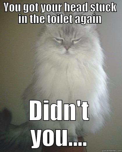 YOU GOT YOUR HEAD STUCK IN THE TOILET AGAIN DIDN'T YOU.... Misc