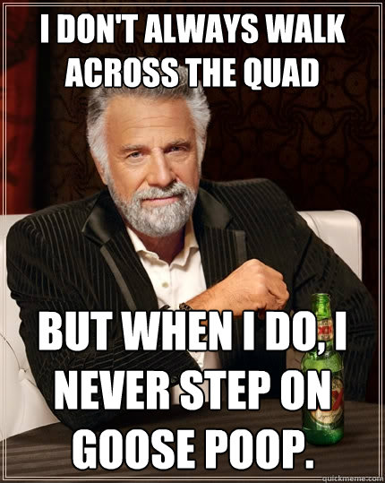 I don't always walk across the quad but when I do, I never step on goose poop.  The Most Interesting Man In The World