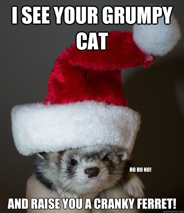i see your grumpy cat and raise you a cranky ferret! ho ho no! - i see your grumpy cat and raise you a cranky ferret! ho ho no!  Cranky ferret!
