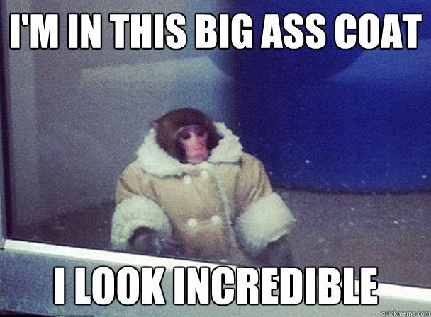 I'm in this big ass coat I look incredible - I'm in this big ass coat I look incredible  Misc
