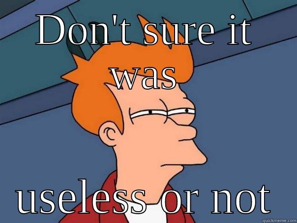 DON'T SURE IT WAS USELESS OR NOT Futurama Fry