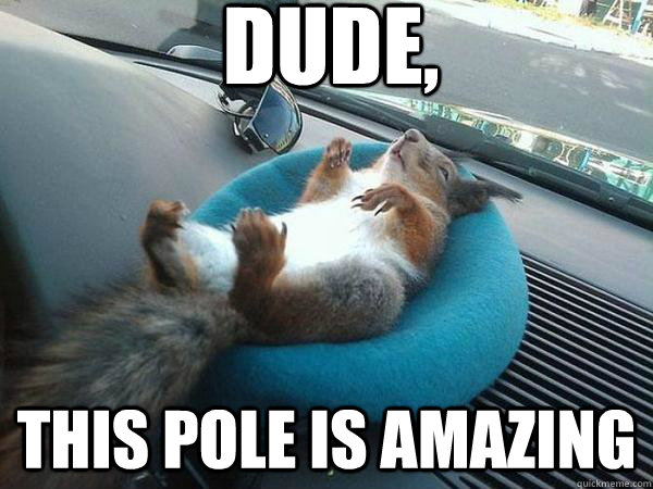 DUDE, this pole is amazing  