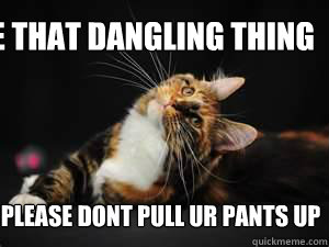 i like that dangling thing please dont pull ur pants up - i like that dangling thing please dont pull ur pants up  funny cat