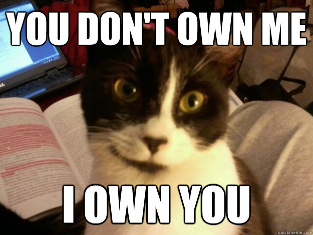 you don't own me i own you  