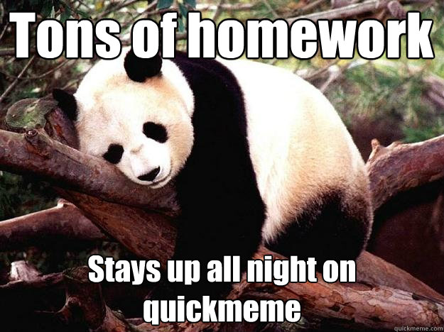 Tons of homework Stays up all night on quickmeme  Procrastination Panda