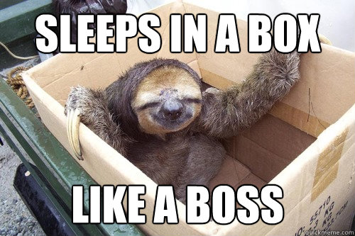 sleeps in a box like a boss  