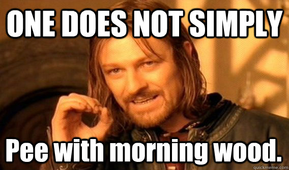 ONE DOES NOT SIMPLY Pee with morning wood.  One Does Not Simply
