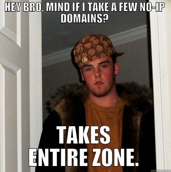 HEY BRO, MIND IF I TAKE A FEW NO-IP DOMAINS? TAKES ENTIRE ZONE. Scumbag Steve
