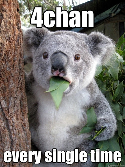 4chan
 every single time  Shocked Koala