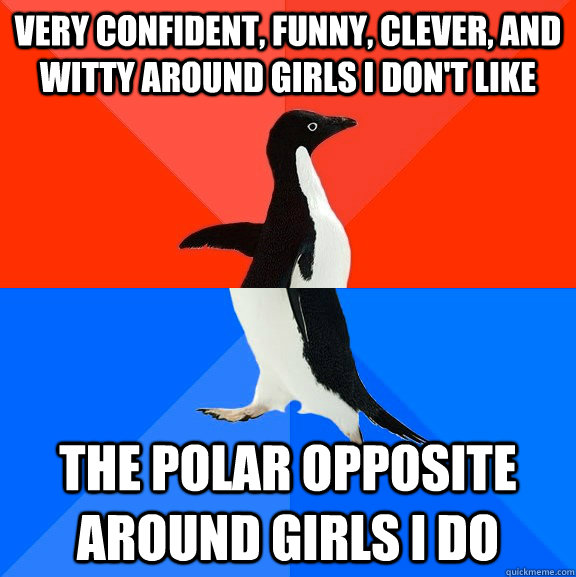 Very confident, funny, clever, and witty around girls I don't like The polar opposite around girls I do  Socially Awesome Awkward Penguin