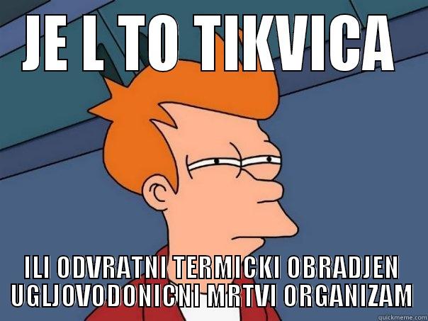 goran krece na rucak - JE L TO TIKVICA ILI ODVRATNI TERMICKI OBRADJEN UGLJOVODONICNI MRTVI ORGANIZAM Futurama Fry