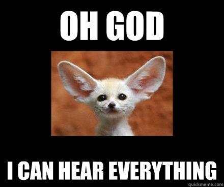 oh god I can hear everything - oh god I can hear everything  big ear fuzzy