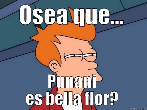 OSEA QUE... PUNANI ES BELLA FLOR? Futurama Fry