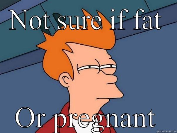 NOT SURE IF FAT OR PREGNANT Futurama Fry