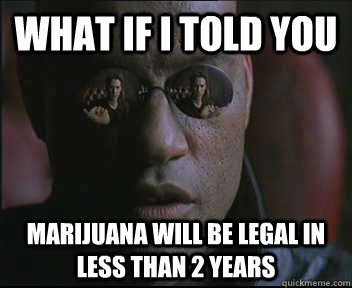 What if I told you marijuana will be legal in less than 2 years  Morpheus SC