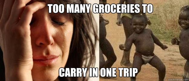   carry in one trip too many groceries to   First World Problems  Third World Success