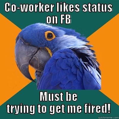 CO-WORKER LIKES STATUS ON FB MUST BE TRYING TO GET ME FIRED! Paranoid Parrot