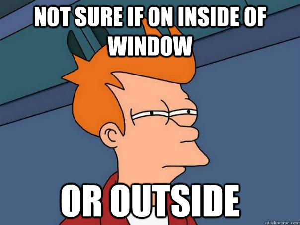 Not sure if on inside of window or outside  Futurama Fry