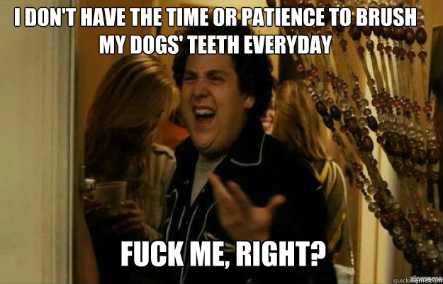 I don't have the time or patience to brush my dogs' teeth everyday FUCK ME, RIGHT?  fuck me right