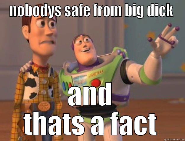 NOBODYS SAFE FROM BIG DICK AND THATS A FACT Toy Story