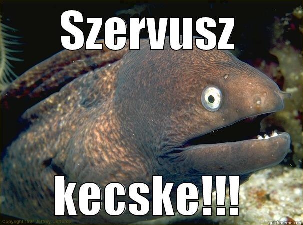 SZERVUSZ KECSKE!!! Bad Joke Eel