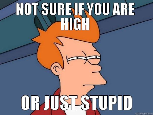 NOT SURE IF YOU ARE HIGH        OR JUST STUPID      Futurama Fry