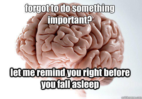 forgot to do something important? let me remind you right before you fall asleep  - forgot to do something important? let me remind you right before you fall asleep   Scumbag Brain