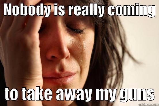  NOBODY IS REALLY COMING    TO TAKE AWAY MY GUNS First World Problems