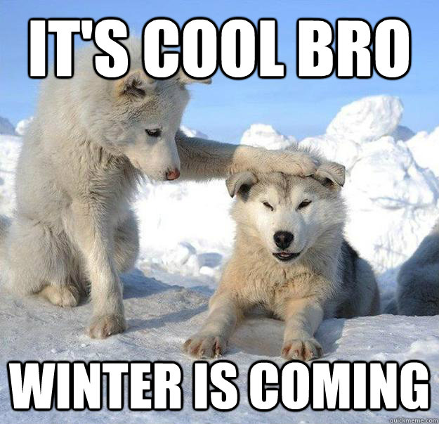 It's cool bro winter is coming  Caring Husky