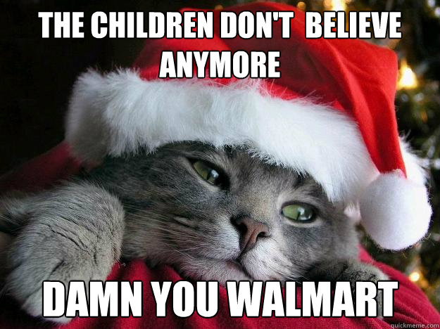 the children don't  believe anymore damn you walmart - the children don't  believe anymore damn you walmart  Sad Santa Cat