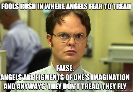 fools rush in where angels fear to tread False.
Angels are figments of one's imagination and anyways, they don't tread, they fly  Schrute