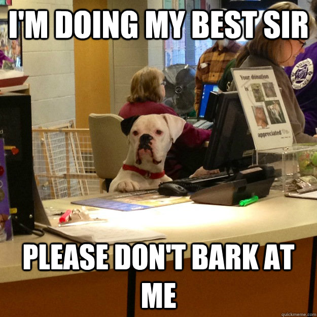 I'm doing my best sir please don't bark at me - I'm doing my best sir please don't bark at me  Service Agent Dog