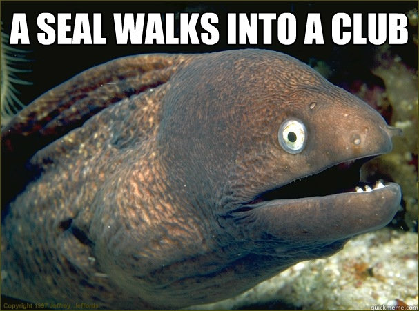 a seal walks into a club   Bad Joke Eel