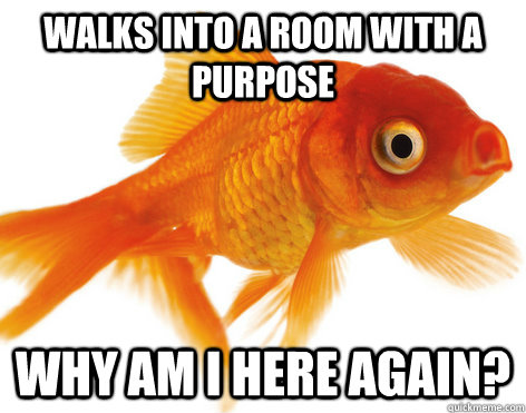 Walks into a room with a purpose Why am I here again?   Forgetful Fish