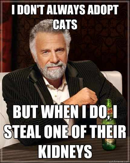 I don't always adopt cats But when I do, I steal one of their kidneys  The Most Interesting Man In The World