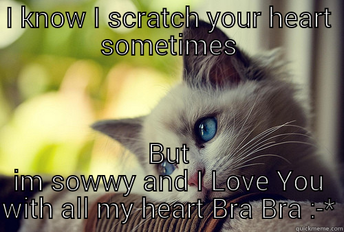 I KNOW I SCRATCH YOUR HEART SOMETIMES BUT IM SOWWY AND I LOVE YOU WITH ALL MY HEART BRA BRA :-* First World Problems Cat